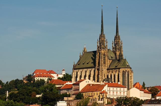 Kávovník Brno: Najděte svůj ideální zelený poklad