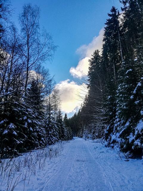 Harrachov: Kam na kafe s výhledem na hory