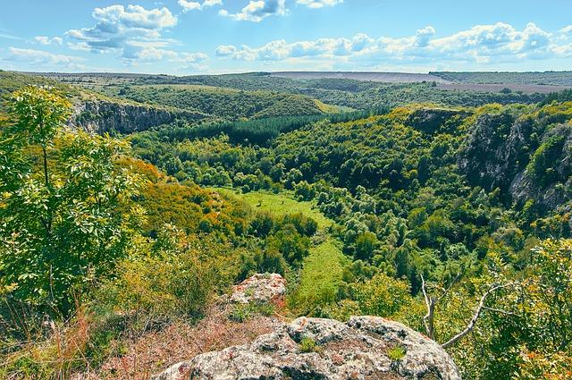 Orlová: Kam pro přátelské posezení u kávy