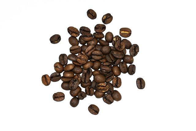 Coffea arabica rostlina kávovník: Jak na pěstování