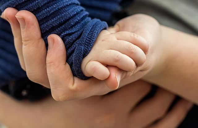 Podpora místních farmářů: udržitelnost a férový obchod