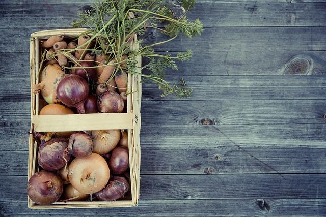 Jak podpořit udržitelnou výrobu a spotřebu kávy pomocí recyklace kapslí