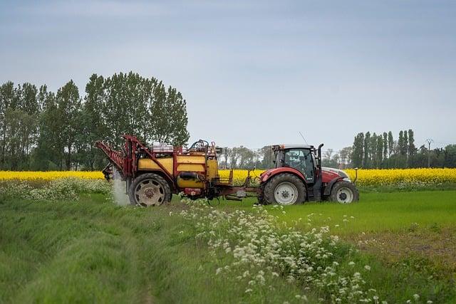 Zpracování kávových zrn: od pražení až po mletí