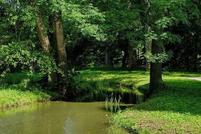 Odvíjející se kávové scény a trendy v Kroměříži