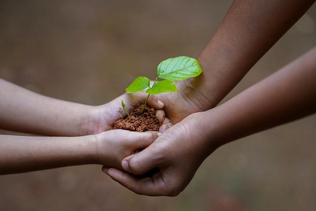 Ochrana půdy a biodiverzity: Klíčové postřehy