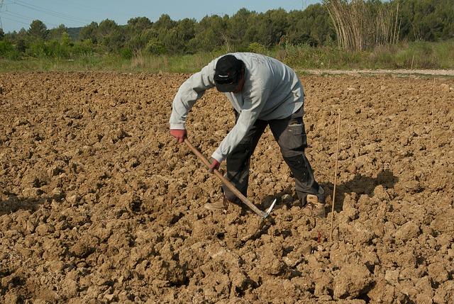 Od tradičního farmáře až k vaší šálce