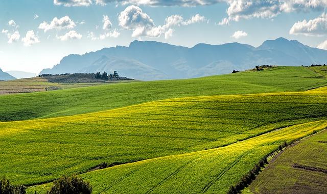 Role probiotik v eliminaci bolestí v břiše na lačno