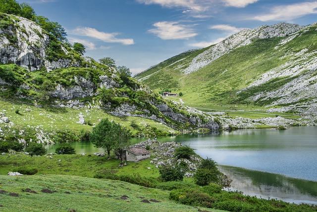 Průzkum oblíbených druhů kávy a co prozrazují o vašich preferencích