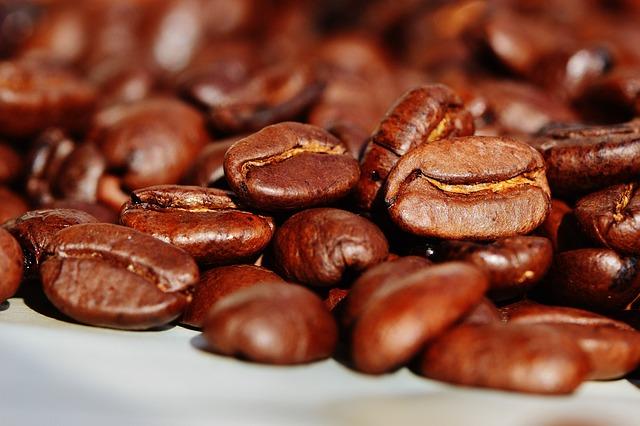 Nejvhodnější druhá půdy pro pěstování Coffee Plant v domácnosti