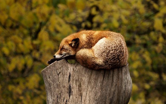 Jak si vytvořit relaxační a inspirativní rituál kolem kávy